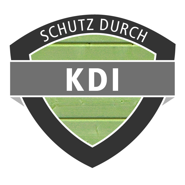 Karibu Rechteck Pool 3